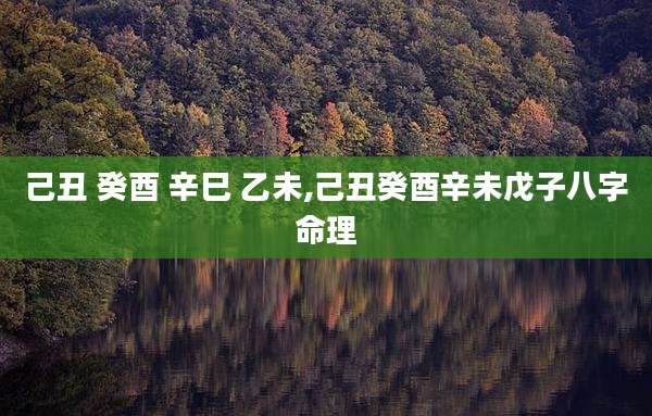 己丑 癸酉 辛巳 乙未,己丑癸酉辛未戊子八字命理