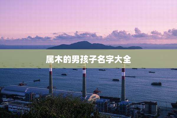 属木的男孩子名字大全