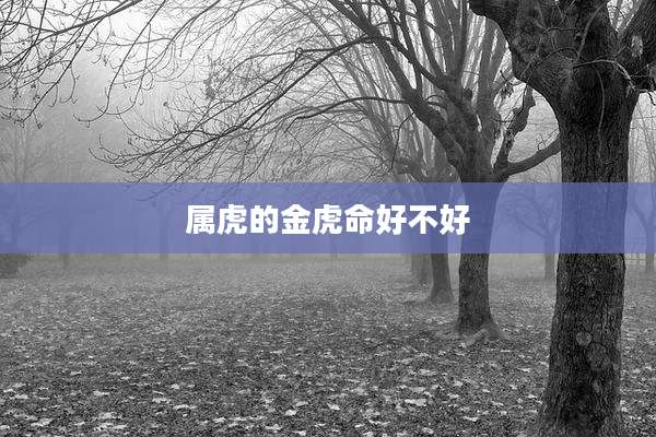 属虎的金虎命好不好