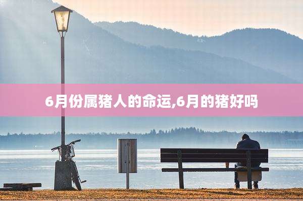 6月份属猪人的命运,6月的猪好吗