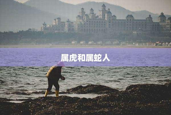 属虎和属蛇人