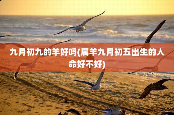 九月初九的羊好吗(属羊九月初五出生的人命好不好)