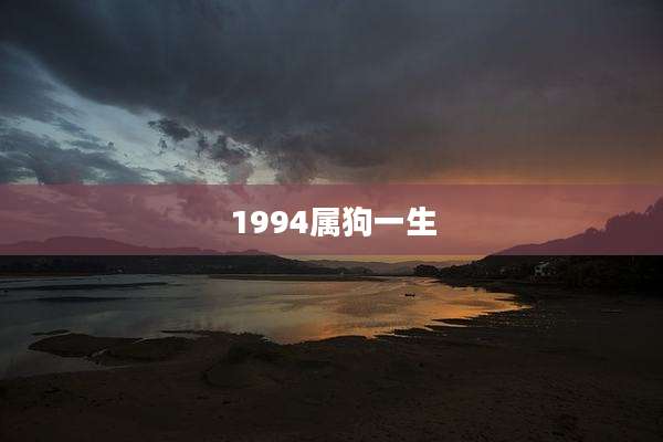 1994属狗一生