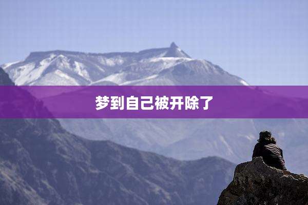 梦到自己被开除了