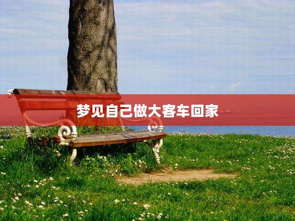 梦见自己做大客车回家