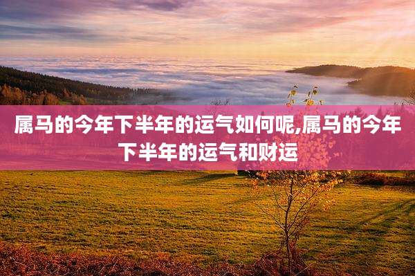 属马的今年下半年的运气如何呢,属马的今年下半年的运气和财运