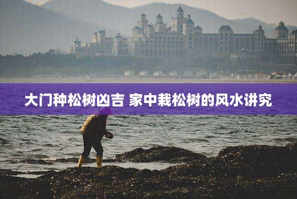大门种松树凶吉 家中栽松树的风水讲究