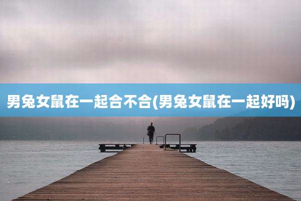男兔女鼠在一起合不合(男兔女鼠在一起好吗)