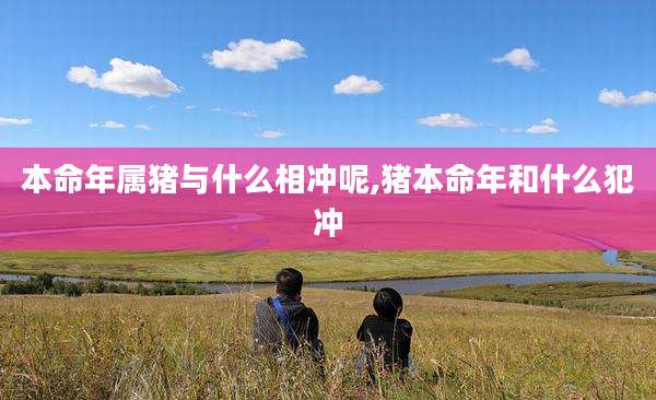本命年属猪与什么相冲呢,猪本命年和什么犯冲