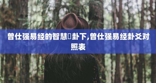 曾仕强易经的智慧夬卦下,曾仕强易经卦爻对照表