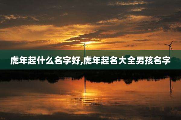 虎年起什么名字好,虎年起名大全男孩名字