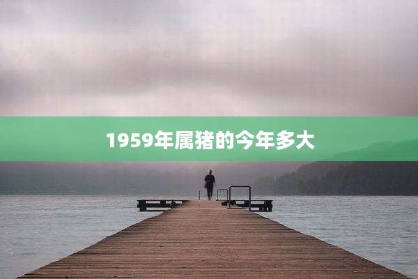 1959年属猪的今年多大