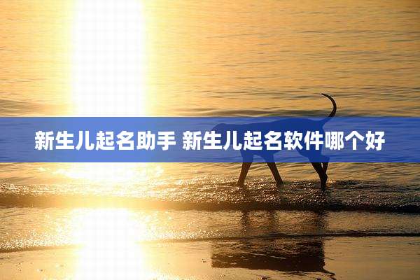 新生儿起名助手 新生儿起名软件哪个好