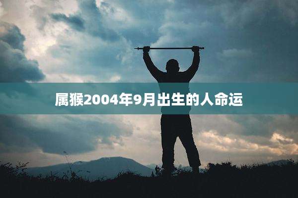 属猴2004年9月出生的人命运