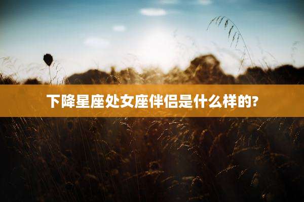 下降星座处女座伴侣是什么样的?