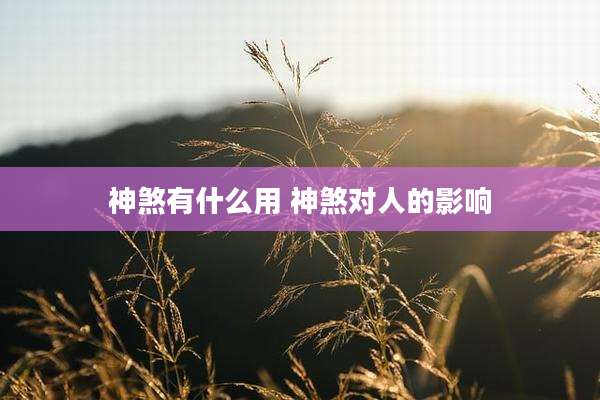 神煞有什么用 神煞对人的影响