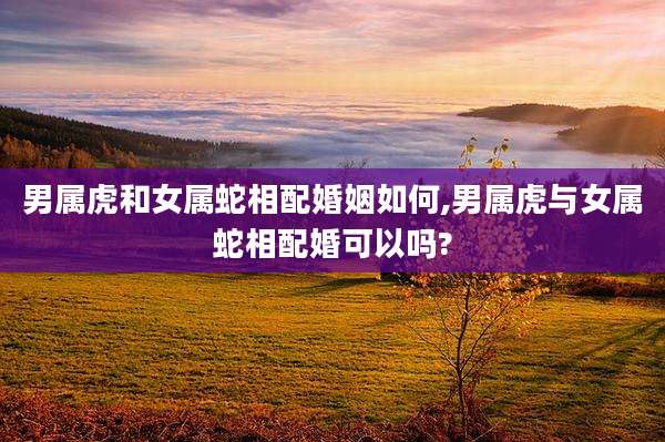 男属虎和女属蛇相配婚姻如何,男属虎与女属蛇相配婚可以吗?