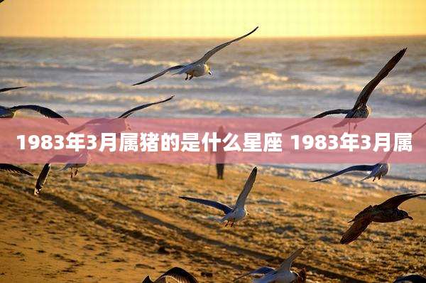 1983年3月属猪的是什么星座 1983年3月属