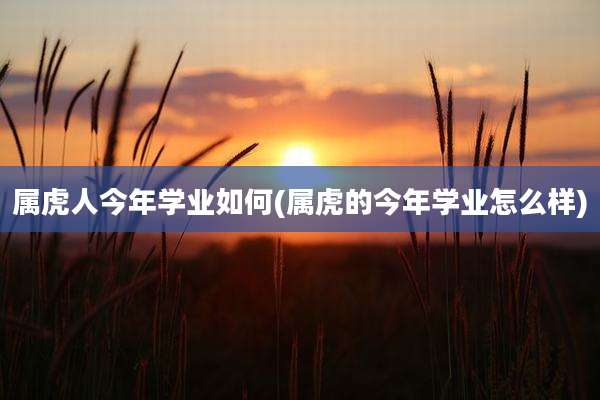 属虎人今年学业如何(属虎的今年学业怎么样)