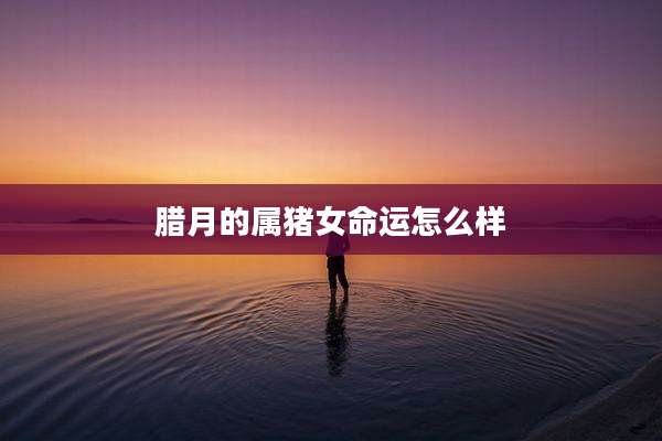 腊月的属猪女命运怎么样