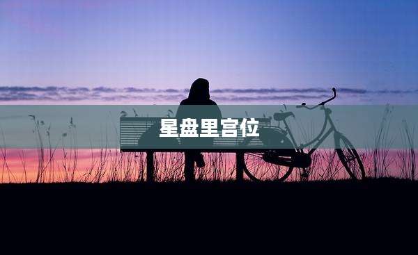 星盘里宫位