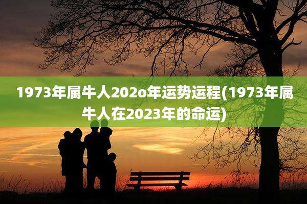 1973年属牛人202o年运势运程(1973年属牛人在2023年的命运)