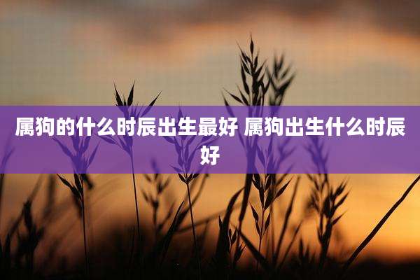 属狗的什么时辰出生最好 属狗出生什么时辰好