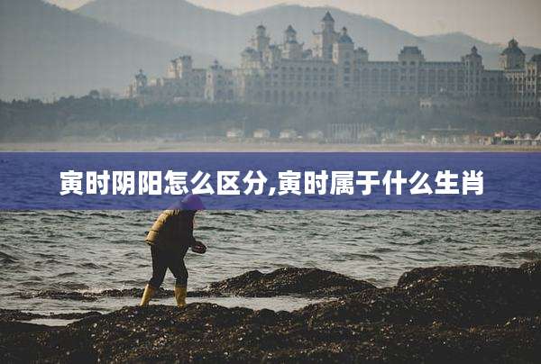 寅时阴阳怎么区分,寅时属于什么生肖