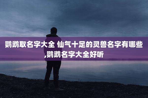 鹦鹉取名字大全 仙气十足的灵兽名字有哪些,鹦鹉名字大全好听