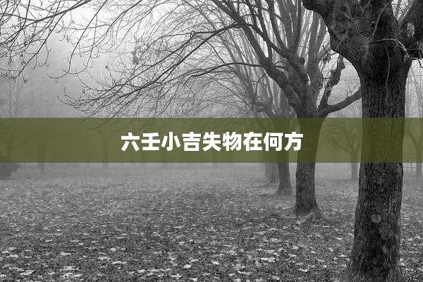 六壬小吉失物在何方