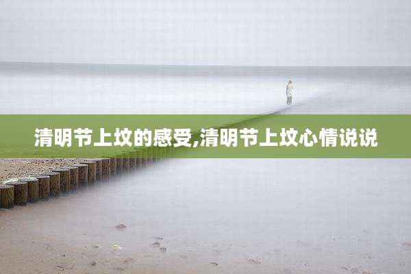 清明节上坟的感受,清明节上坟心情说说
