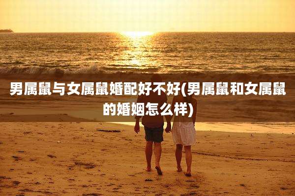 男属鼠与女属鼠婚配好不好(男属鼠和女属鼠的婚姻怎么样)