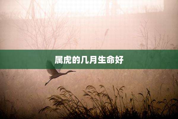 属虎的几月生命好