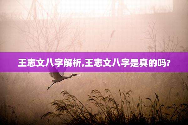 王志文八字解析,王志文八字是真的吗?