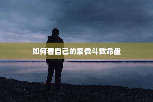 如何看自己的紫微斗数命盘