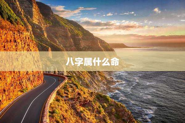 八字属什么命