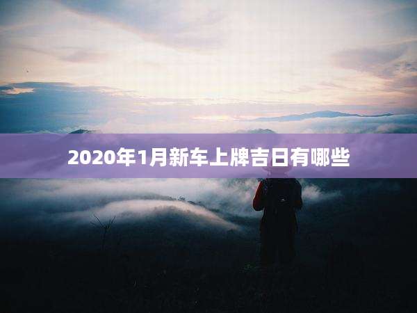 2020年1月新车上牌吉日有哪些