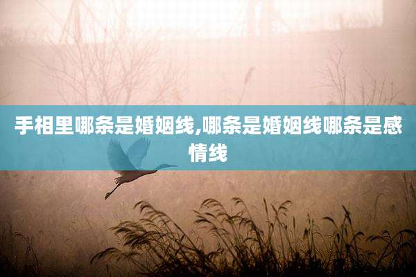 手相里哪条是婚姻线,哪条是婚姻线哪条是感情线