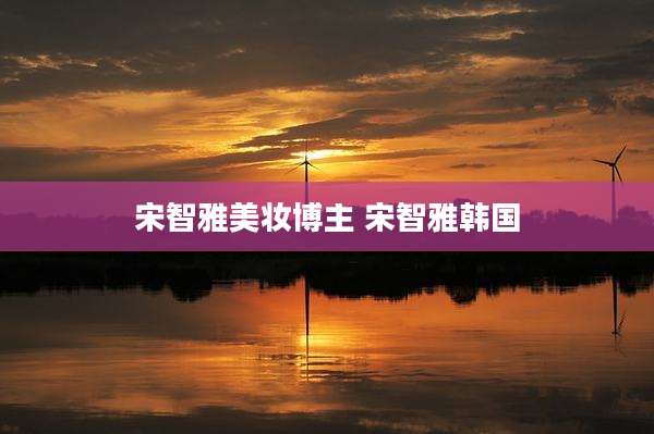 宋智雅美妆博主 宋智雅韩国