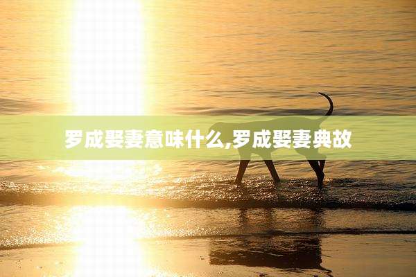 罗成娶妻意味什么,罗成娶妻典故