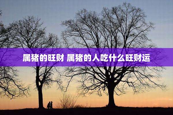 属猪的旺财 属猪的人吃什么旺财运