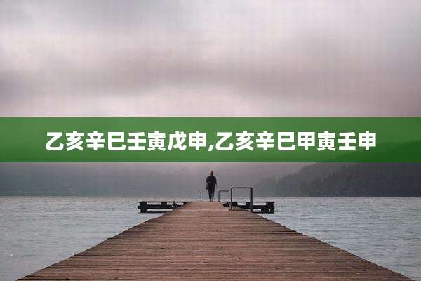 乙亥辛巳壬寅戊申,乙亥辛巳甲寅壬申
