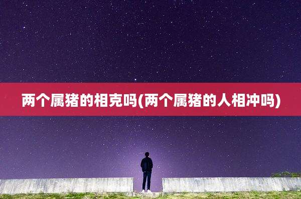 两个属猪的相克吗(两个属猪的人相冲吗)