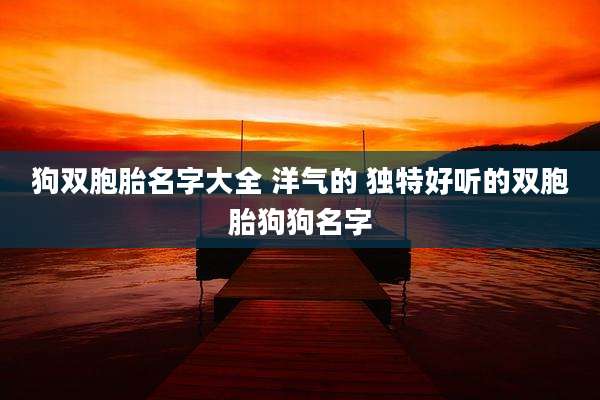 狗双胞胎名字大全 洋气的 独特好听的双胞胎狗狗名字