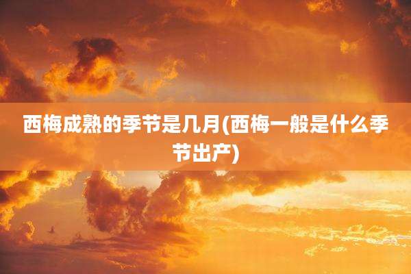 西梅成熟的季节是几月(西梅一般是什么季节出产)