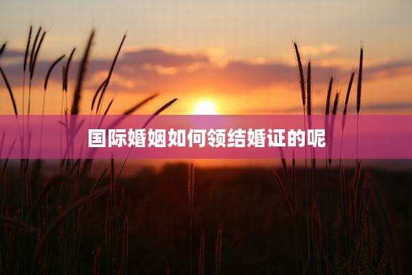 国际婚姻如何领结婚证的呢