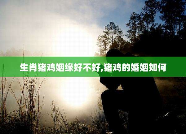 生肖猪鸡姻缘好不好,猪鸡的婚姻如何
