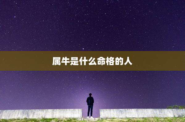 属牛是什么命格的人