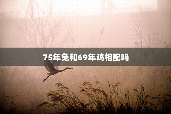 75年兔和69年鸡相配吗
