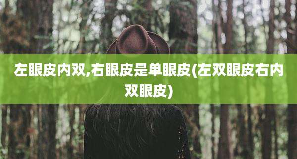 左眼皮内双,右眼皮是单眼皮(左双眼皮右内双眼皮)